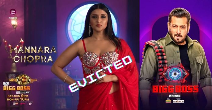 Mannara Chopra's 'Bigg Boss 17 Grand Finale' Journey Ends. Abhishek, Munawar Move To Top 2