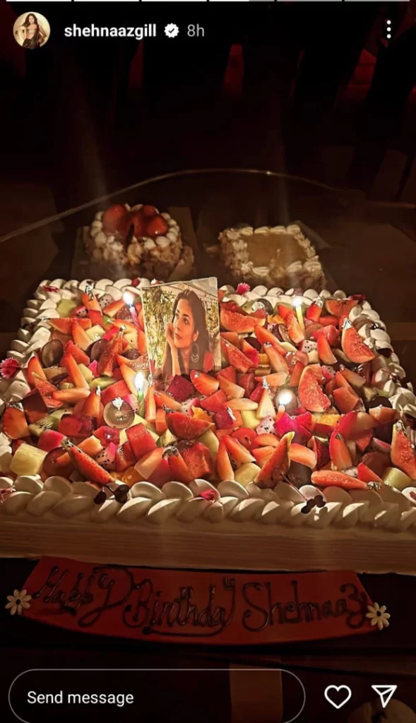 Shehnaaz Gill's Birthday Celebration Is All About Fruity Cakes. SEE PICTURES