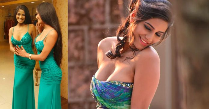 Poonam Pandey Biography: Figure, Age, Height, Net Worth, Family, Career and Favorites
