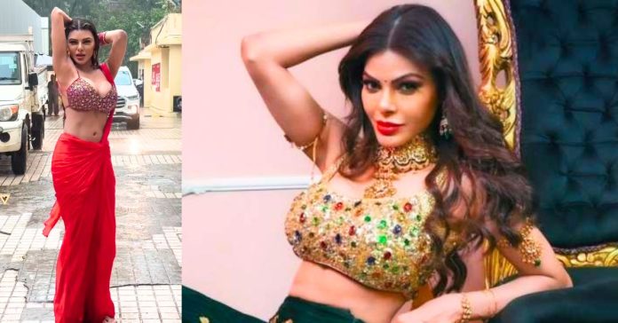 Sherlyn Chopra Biography: Figure, Age, Height, Net Worth, Family, Career and Favorites