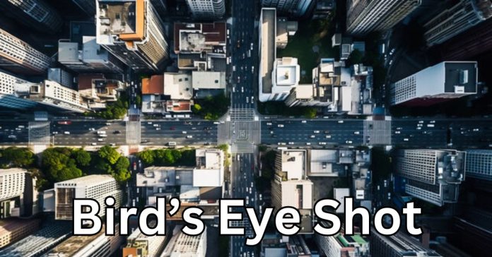 The Artistry and Significance of Bird’s Eye Shot in Cinematography