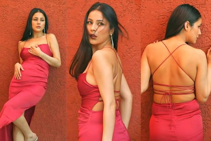 Check Out | Shehnaaz Gill Stuns At Pinkvilla Awards 2024 In Red Hot Sizzling Dress