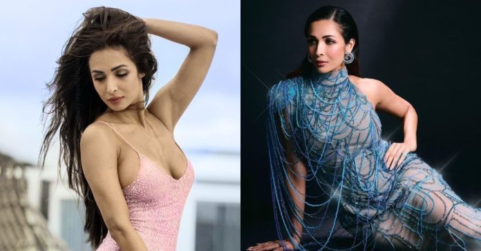 Explore the Fascinating Journey of Malaika Arora: Biography, Age, Career, and Legacy